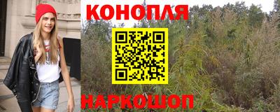 шишки Рыбинск