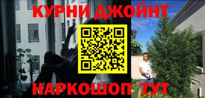 шишки Рыбинск