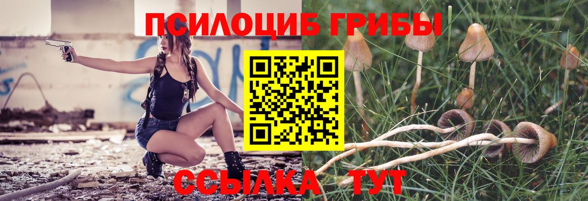 Псилоцибиновые грибы MAGIC MUSHROOMS Печора