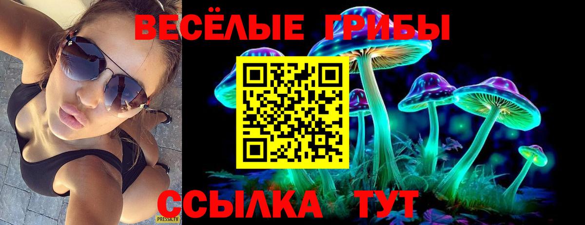 где купить наркотик  Псилоцибиновые грибы мицелий  Вход с VPN  Печора 